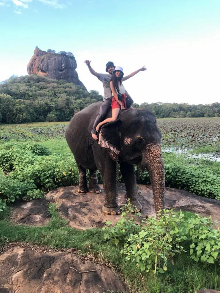 משפחת גולן, הרצליה